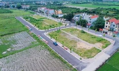 Đất đấu giá Chương Mỹ cao nhất 115 triệu/m², môi giới bán chênh 50 triệu đồng/lô