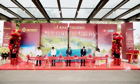 Sun Gallery Cat Ba: Không gian trải nghiệm Thành phố Vịnh trung tâm Xanh Island sống động