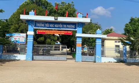 Tạm giữ thầy giáo có hành vi dâm ô nhiều nữ sinh tiểu học