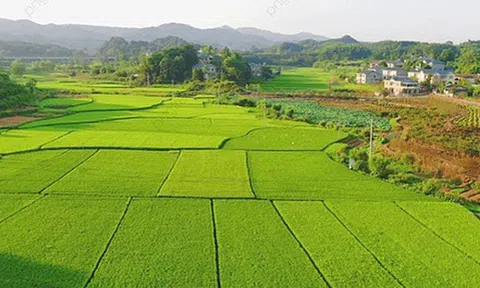 Chi tiết về hồ sơ, thủ tục khi người dân muốn xây nhà trên đất nông nghiệp theo Luật Đất đai mới