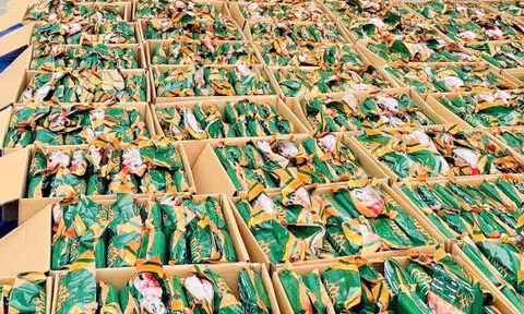 Rùng mình với 5,3 tấn chân gà bẩn bị thu giữ ở Tuyên Quang