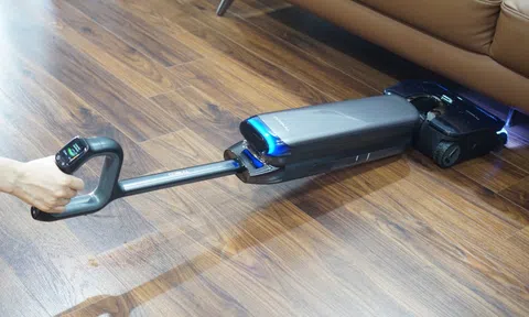 'Cây lau nhà' giá 17 triệu đồng