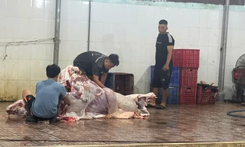 Lập biên bản 2 cơ sở mổ bò, heo "chui" tại Đồng Nai