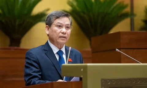 Đề xuất thành lập Tòa án nhân dân khu vực, Tòa chuyên trách về Phá sản, Sở hữu trí tuệ