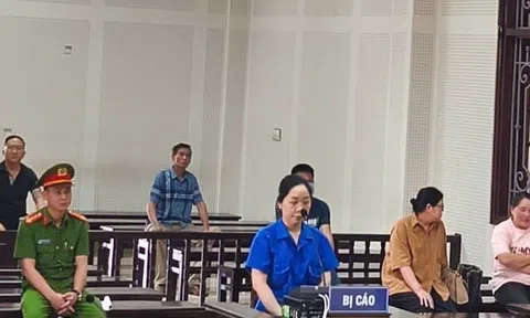Xét xử "nữ quái" lừa đảo vay mượn hơn 11 tỷ đồng