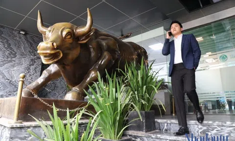 Dòng tiền sẽ đổ về nhóm VNMidcap trong tháng 5?