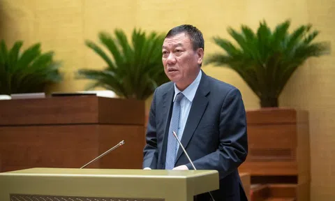 Không phân biệt thanh tra hành chính và thanh tra chuyên ngành