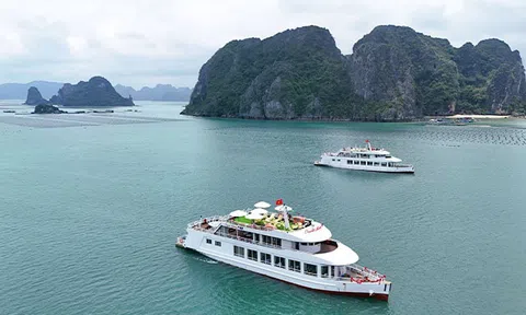Khai trương đội tàu du lịch cao cấp trên Vịnh Bái Tử Long