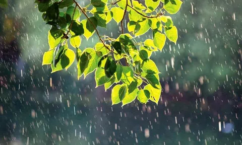 Ảnh hưởng không khí lạnh, miền Bắc có mưa vừa, mưa to và dông