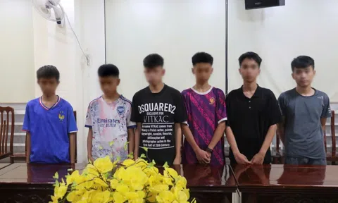 Bắt nhóm thanh thiếu niên gây ra hàng loạt vụ trộm