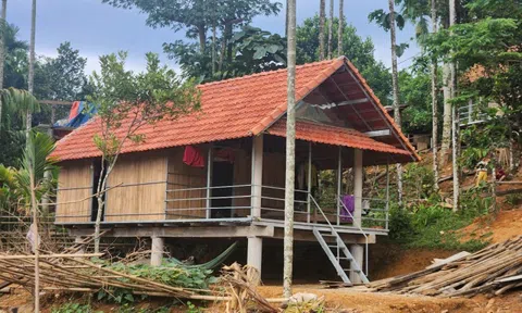 Quảng Ngãi tăng tốc về đích xóa nhà tạm, nhà dột nát