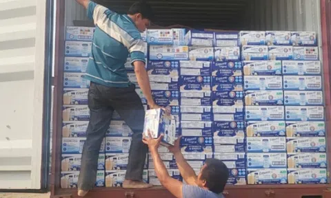 Khởi tố một cán bộ hải quan tiếp tay buôn lậu hơn 4.000 thùng sữa từ Mỹ về Việt Nam