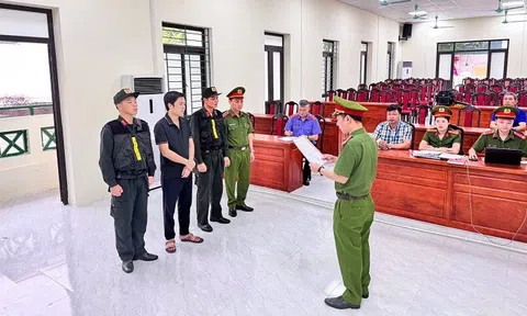 Khởi tố đối tượng thuê máy móc khai thác cát trái phép, thu lợi hàng tỷ đồng