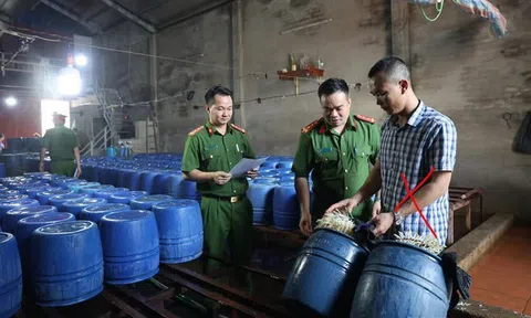 Khởi tố chủ cơ sở đã bán hơn 60 tấn giá đỗ ngâm chất kích thích tăng trưởng ra thị trường