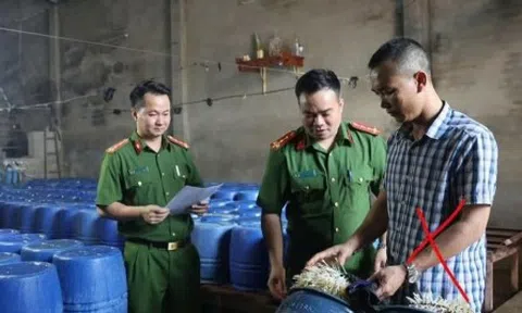 Khởi tố chủ cơ sở bán 60 tấn giá đỗ dùng chất kích thích tăng trưởng