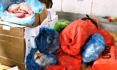 Xử lý vụ kinh doanh, buôn bán gần 6,5 tấn thực phẩm đông lạnh không rõ nguồn gốc