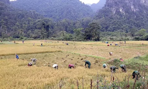 Giám sát chặt nguồn nước để ứng phó khô hạn, đảm bảo sản xuất