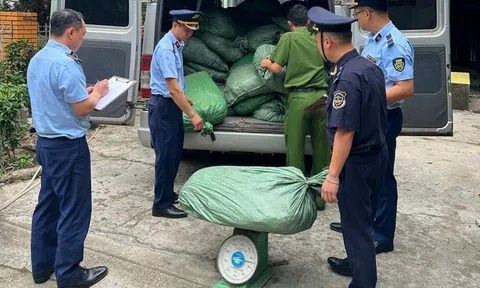 Cao Bằng: Thu giữ gần 1,4 tấn nguyên liệu thuốc lá không rõ nguồn gốc xuất xứ