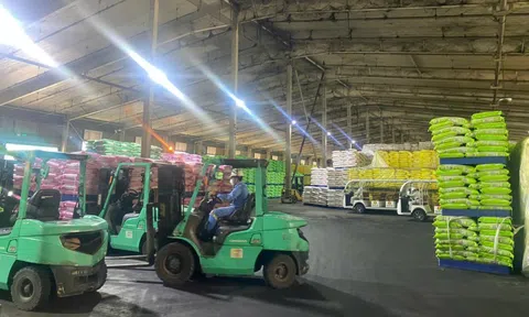 Bộ Nông nghiệp và Môi trường triển khai đợt cao điểm đấu tranh chống buôn lậu và hàng giả