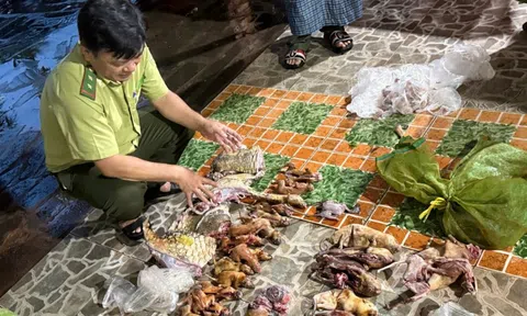 Đồng Nai: Phát hiện hàng chục cá thể động vật rừng tại một quán ăn ở Vĩnh Cửu