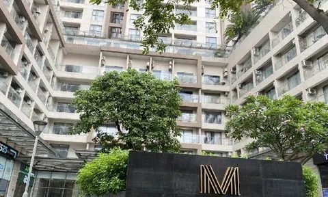 Kiến nghị hủy ngăn chặn giao dịch chuyển nhượng tại khu đất vàng 132 Bến Vân Đồn