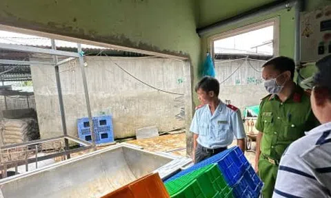C.P. Việt Nam thừa nhận hình ảnh heo bệnh được chụp tại lò mổ thuộc công ty