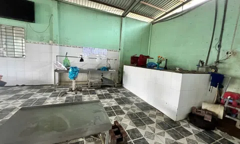 Đại diện C.P Việt Nam thừa nhận hình ảnh "tố" heo bệnh là thật, chủ cơ sở giết mổ gia công chia sẻ thông tin nóng
