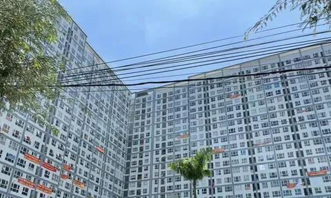 TPHCM tiếp tục gỡ vướng sổ hồng nhiều dự án