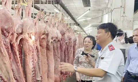 Thanh kiểm tra cơ sở giết mổ động vật trên cả nước