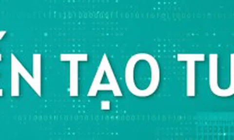 'Ông lớn' nước ngoài cam kết là trụ cột tài chính nếu THACO được chọn cho dự án 67,3 tỷ USD: DN phản bác