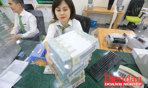 Nhịp tăng - giảm và những áp lực của tỷ giá