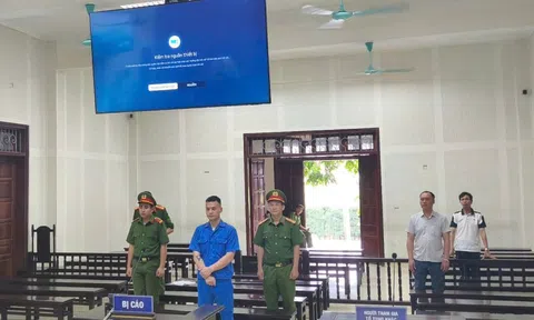 Tổ chức "bay lắc", người chết kẻ ngồi tù