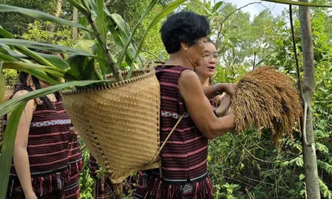 Công bố thêm 11 di sản văn hóa phi vật thể Quốc gia