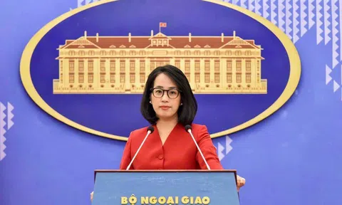 Mục tiêu của Việt Nam khi trở thành Nước Đối tác của BRICS?