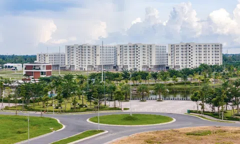 Đất nền chuẩn pháp lý được săn đón