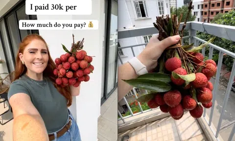Bỏ 30.000 đồng/kg mua loại trái cây yêu thích ở Việt Nam, khách Tây khiến dân mạng bái phục vì "mát tay" chọn được giá hời
