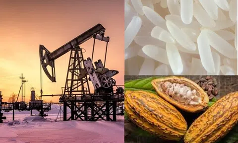 Thị trường ngày 18/6: Giá dầu tăng hơn 4%, đường giảm 3%