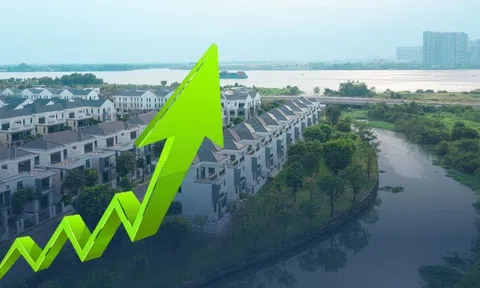 Dự án được gỡ vướng về quy hoạch, cổ phiếu Novaland bật tăng cao nhất trong hơn một năm qua