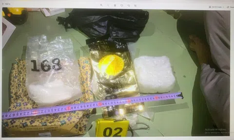 Triệt phá đường dây mua bán trái phép gần 2kg ma túy