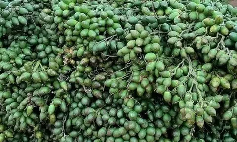 Từng tăng nhập khẩu 1.200%, một mặt hàng từ Trung Quốc đổ bộ ngược trở lại Việt Nam, nước ta chi gần 300 tỷ đồng mua hàng