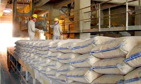 Vì sao tiêu thụ xi măng giảm mạnh?