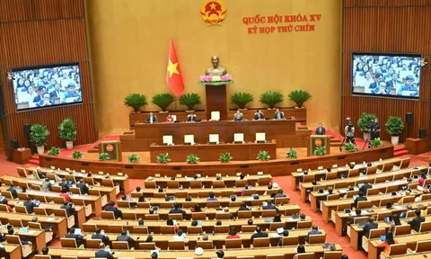 Các Nghị quyết của Quốc hội và UBTVQH khóa XV