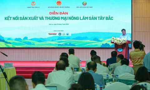 Doanh nghiệp kể chuyện "làm lớn từ điều giản dị" với nông sản Tây Bắc