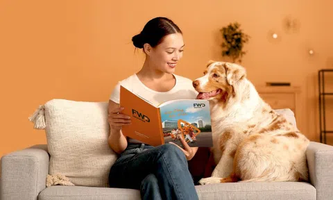 Ứng dụng FWD phiên bản mới: Quản lý bảo hiểm dễ dàng như lướt mạng xã hội