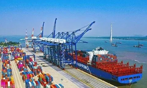 Chấp thuận chủ trương đầu tư xây dựng 04 bến cảng container mới tại Hải Phòng