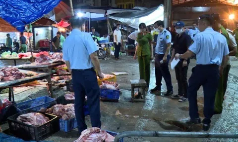 Công an Hà Nội triệt phá đường dây giết mổ tiêu thụ thịt bệnh ra thị trường