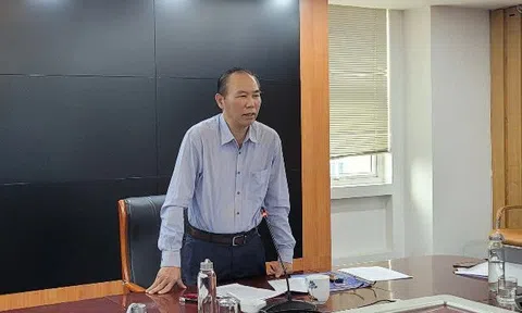Ngăn chặn dịch tả lợn châu Phi diễn biến phức tạp tại nhiều địa phương