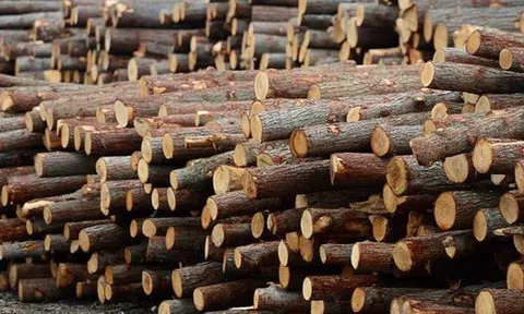 Mỹ giảm thuế xuống 20%, đã chi hơn 4 tỷ USD nhập khẩu cho ngành hàng 'hái ra tiền' này của Việt Nam