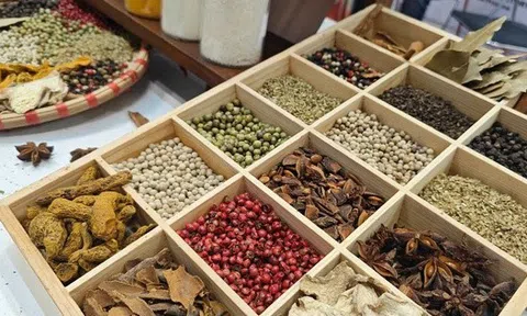 Doanh nghiệp hồ tiêu, gia vị cầu cứu Bộ Nông nghiệp và Môi trường