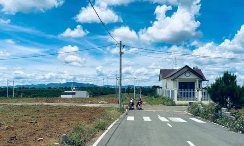 Tỉnh lớn nhất Việt Nam ra tối hậu thư với "cò đất" lộng hành